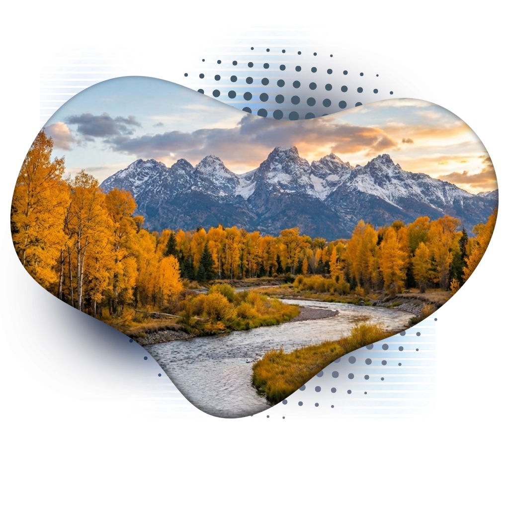 Less Stress Website Mockups